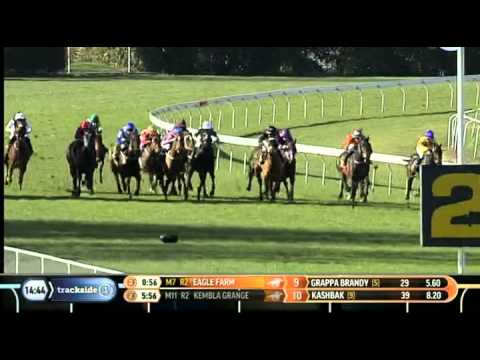 Jockey J GraciosoRace  first ride in New Zealand 4  OTAKI NZRacing,