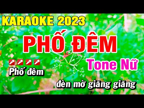 Karaoke Phố Đêm Nhạc Sống Tone Nữ Hay Nhất | Hoài Phong Organ