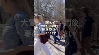 海外 | 記録的な大雪から二週間後 夏の陽気が凄い ニューヨーク #ニューヨーク #海外生活 #旅行