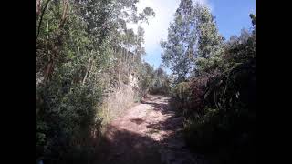 JOAN SEBASTIAN   TE CONQUISTARÉ