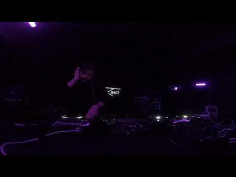 GULLY @ database // Timisoara