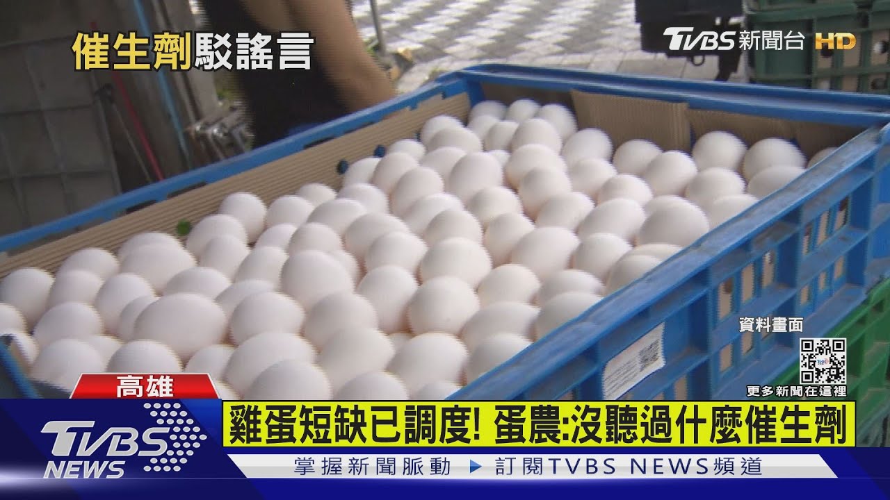 有片／謠傳雞打催生劑？農委會闢謠是「錯誤訊息」　蛋農：追查提告