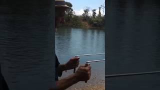 Download lagu King 👑 of Ionic Wands test 9215 mp3