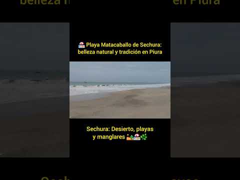 Playa Matacaballo de Sechura: belleza natural y tradición en Piura. 🏖️  #Sechura #ProvinciaDeSechura