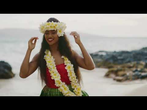 Tarante Groove Machine - Babylon feat Malabi Tropical