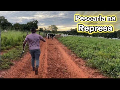 AVENTURA NA FAZENDA-PORANGATU/GO (PARTE 03) PESCARIA COM A TURMA 