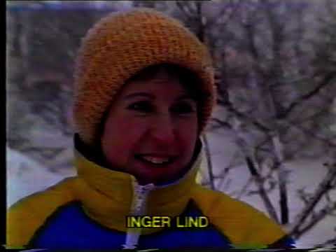 Snökaos Blekinge 1987 (Sydnytt)
