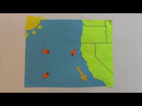 What's Up with Upwelling?