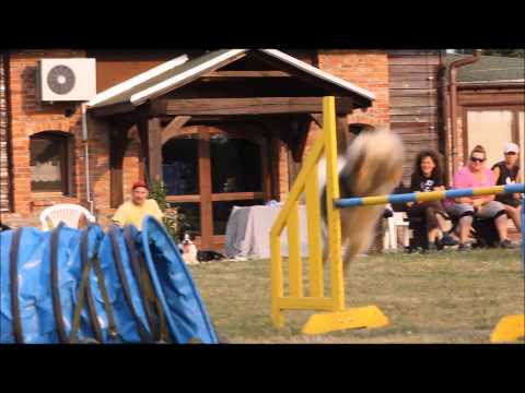 10-16.08.2015 Obóz Agility Kajew