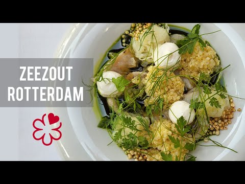 [3 min] Rotterdam - Zeezout (☆) Savoring the Sea, a Culinary Journey with One Michelin Star