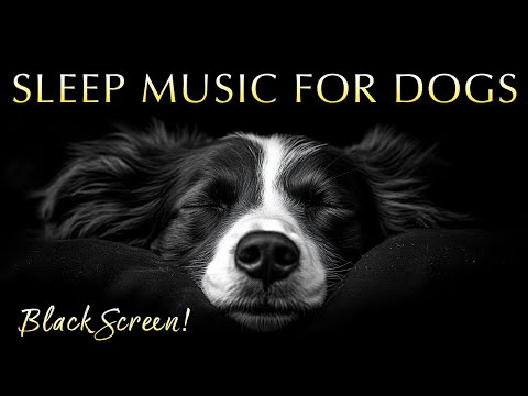 Sleep Music for Dogs and Humans 🐶💤 100% Black Screen