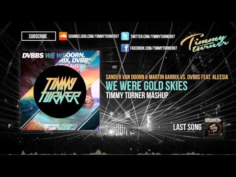 Sander Van Doorn & Martin Garrix vs. DVBBS feat. Aleesia - We Were Gold Skies (Timmy Turner Mashup)