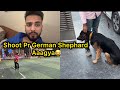 Aaj Shoot Pr German ShepherdAagya😂