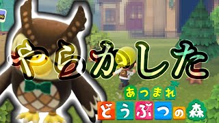 【あつ森】キャンプ場(仮)に異変が起きた【実況】