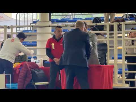 CACHORRO A DE EXPOSICIÓN Club Canófilo de la Sultana del Norte