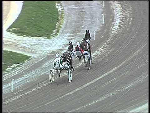 Trotto 08/04/2016 - prova di qualifica