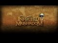 Infected Mushroom - The Pretender (Foo Fighters ...