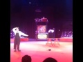 Circo 8