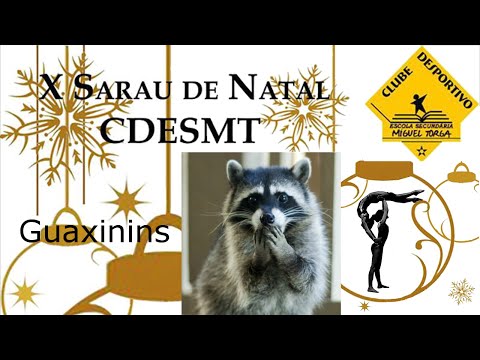 X Sarau de Natal CDESMT 2015 - Guaxinins "Home"