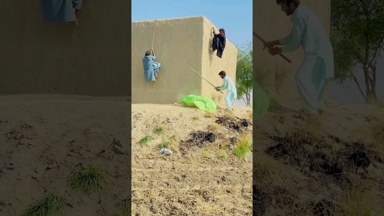 funny🤣🤣wait for it#shortsfeed #funny #comedy #shorts