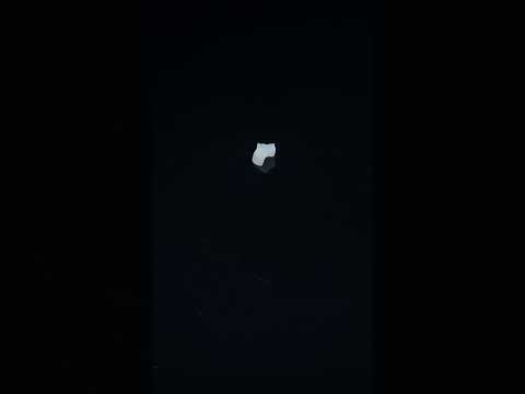 YouTube 썸네일
