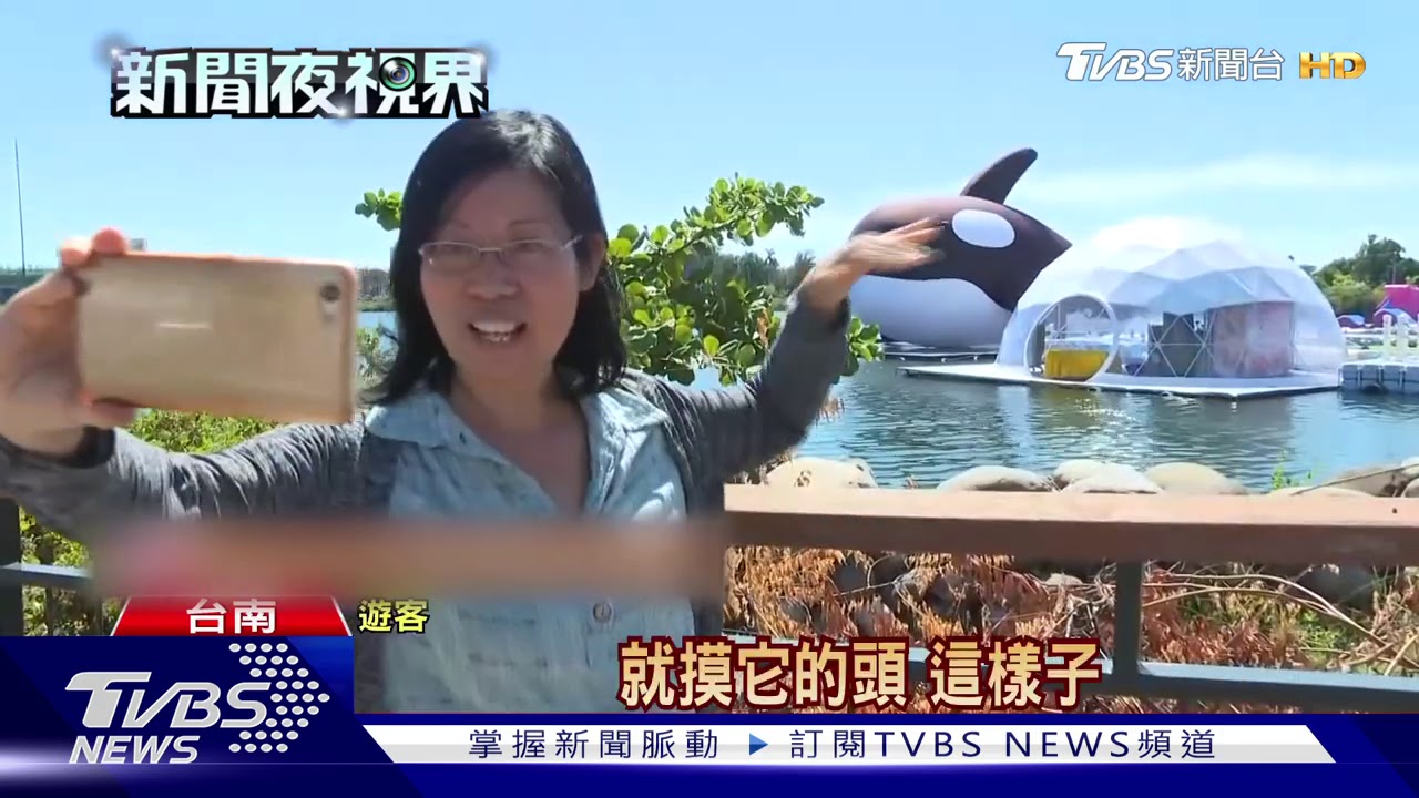 虎鯨Orca7月15日安平港亮相 門票200起惹議