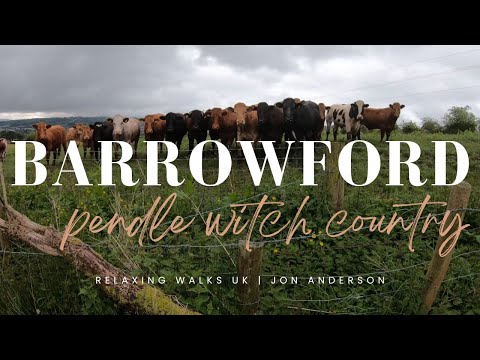 Barrowford Country Walk & Escaping Frisky Cows! Pendle Witch Country | 4K