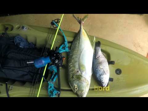 Pêche à l'arc dans la mangrove, Nouvelle Calédonie, Province Nord (Bowfishing in New Calédonia)
