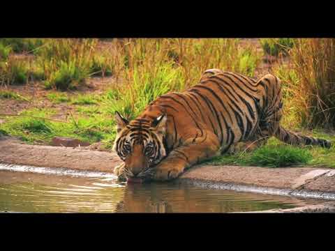 BANGLADESH 4K - FLYING OVER BANGLADESH | Relaxing  | Relaxing music FOR sleep