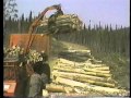 Koehring Shortwood Harvester From Ministere De L Education Du Quebec