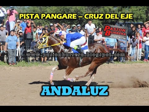 ANDALUZ, Pista Pangare - Cruz del Eje (07-04-19)