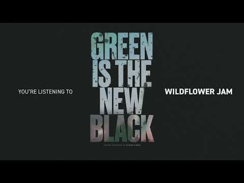 Video thumbnail for Wildflower Jam
