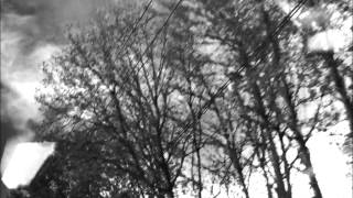 Föllakzoid Electric Visualization