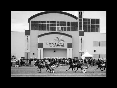 Podcast 14 Century Downs & The Alberta Standardbred Horse Association