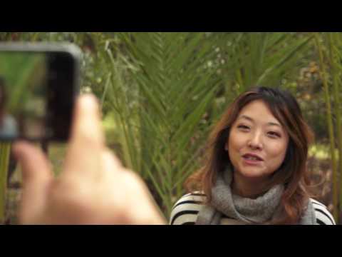 #LoveForests: International Day of Forests 2017 video campaign