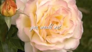 The Secret Life of Plants Stevie Wonder (lyrics)