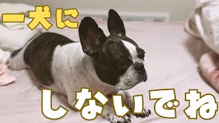 一人で頑張りました😭