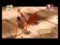 OSCAR OASIS KFC CM