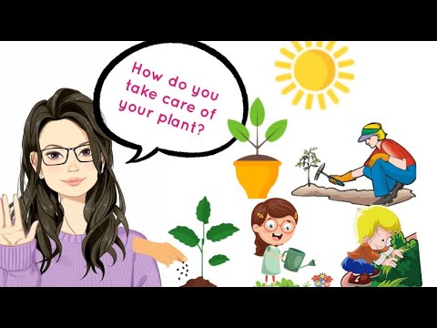 HOW TO TAKE CARE OF THE PLANTS for PRESCHOOLERS