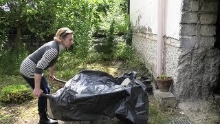 strage-di-cani-in-irpinia-sconcerto-e-rabbia