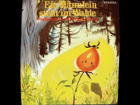 Fuchs, du hast die Gans gestohlen!