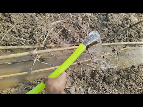 solar 🔥3D best Powerful 775 water pump | 775 DC motor | solar panel