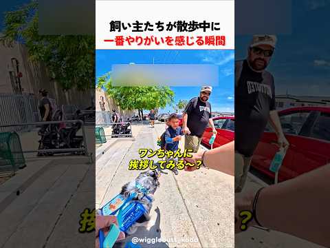 飼い主たちが散歩中に一番やりがいを感じる瞬間
