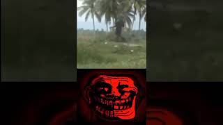 Download lagu Rambo TNI TNI VS GAM #tniad #tni #indonesia #tnihebat #trollface #soldier#respect #shorts mp3 Download lagu Rambo TNI TNI VS GAM #tniad #tni #indonesia #tnihebat #trollface #soldier#respect #shorts mp3