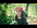Clip 2