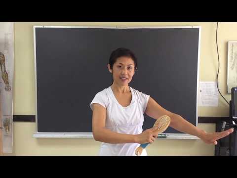 Dry Brushing for the Skin: The Benefits, and How You Can Do it at Home