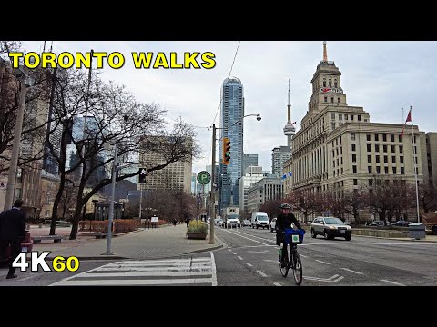 Downtown Toronto Morning Walk to the PATH on November 19, 2020