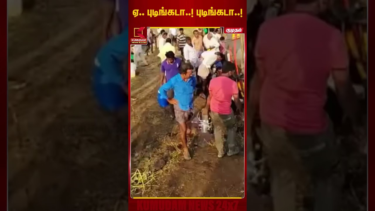 நெய் டேங்கர் லாரி கவிழ்ந்து விபத்து.. நெய்யை பிடிக்க முண்டியடித்த மக்கள் | Lorry | Kumudam News