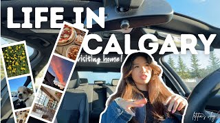 life in calgary💌: realistic days in my hometown, seeing friends + family & MORE | letitia's 2025