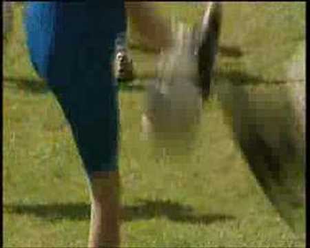 Birmingham Brazilian Soccer Schools on BBC News